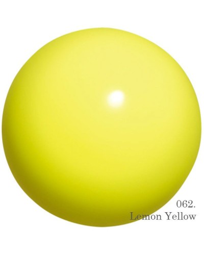 Practice Gym Ball